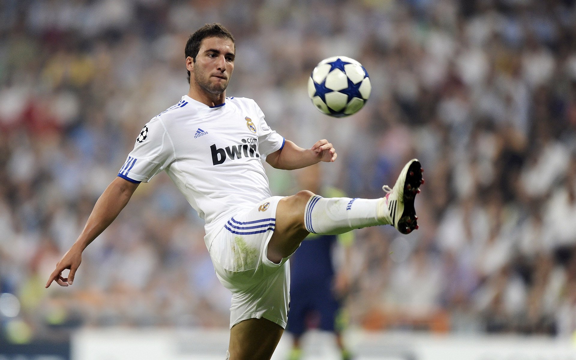 凯恩一锤定音破心魔,皇家社会战术完胜几内亚新军