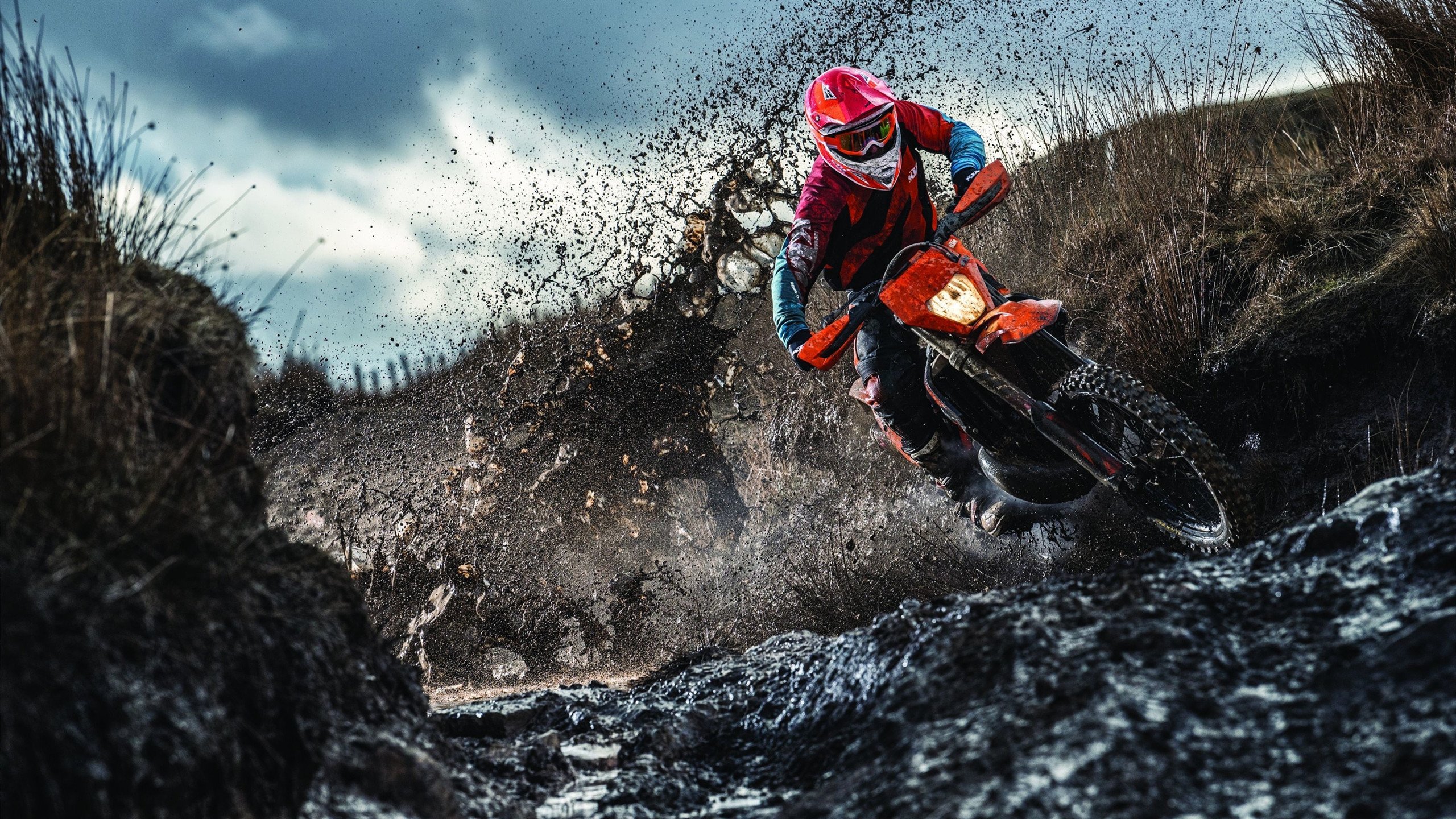 文班亚马之夜,篮球天才如何一手掌控德甲争冠战的走势